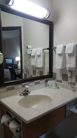 Imagen de la habitación del Hotel Holiday Inn Express Garden City East. Foto 12