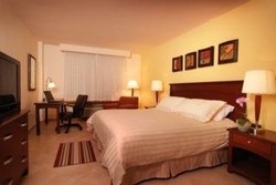 Imagen de la habitación del Hotel Holiday Inn Express Grand Canal. Foto 5