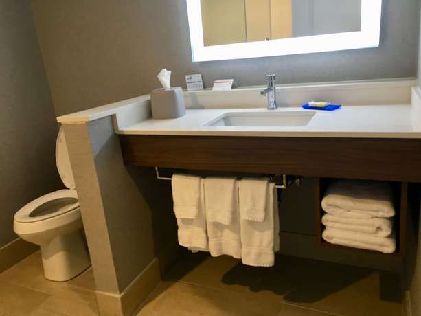Imagen de la habitación del Hotel Holiday Inn Express Grand Island - Niagara Falls by IHG. Foto 8