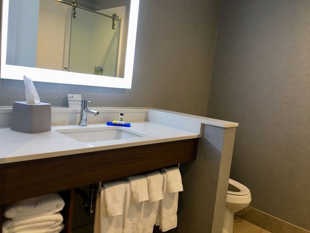 Imagen de la habitación del Hotel Holiday Inn Express Grand Island - Niagara Falls by IHG. Foto 11
