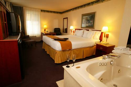 Imagen de la habitación del Hotel Holiday Inn Express Holland. Foto 8