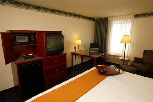Imagen de la habitación del Hotel Holiday Inn Express Holland. Foto 9