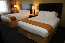 Imagen de la habitación del Hotel Holiday Inn Express Hotel y Suites Phoenix/Chandle. Foto 6