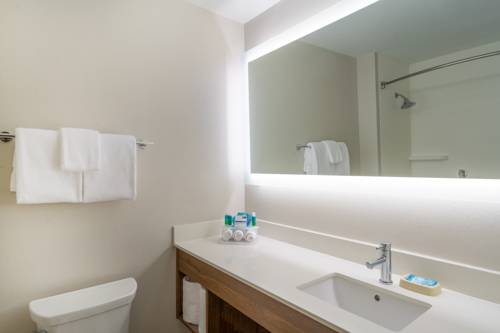 Imagen de la habitación del Hotel Holiday Inn Express Howe (Sturgis, Mi). Foto 12