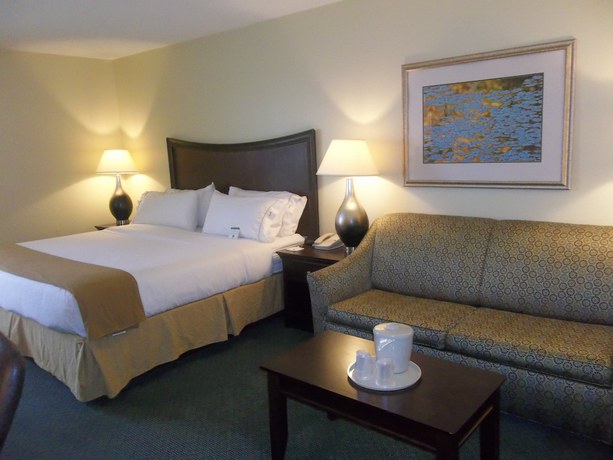 Imagen de la habitación del Hotel Holiday Inn Express Indianapolis Airport. Foto 9