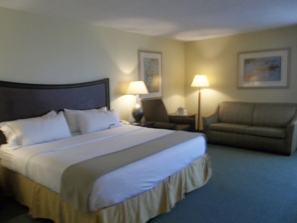 Imagen de la habitación del Hotel Holiday Inn Express Indianapolis Airport. Foto 12