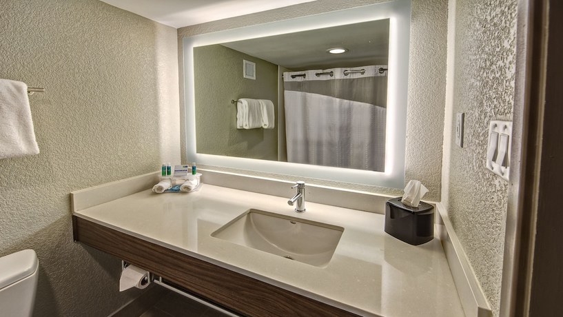 Imagen de la habitación del Hotel Holiday Inn Express Louisville Airport Expo Center, An Ihg. Foto 13