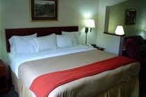 Imagen general del Hotel Holiday Inn Express Louisville Northeast, An Ihg. Foto 7
