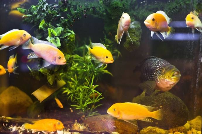 Imagen de los interiores del Hotel Holiday Inn Express Lublin, An Ihg. Foto 17