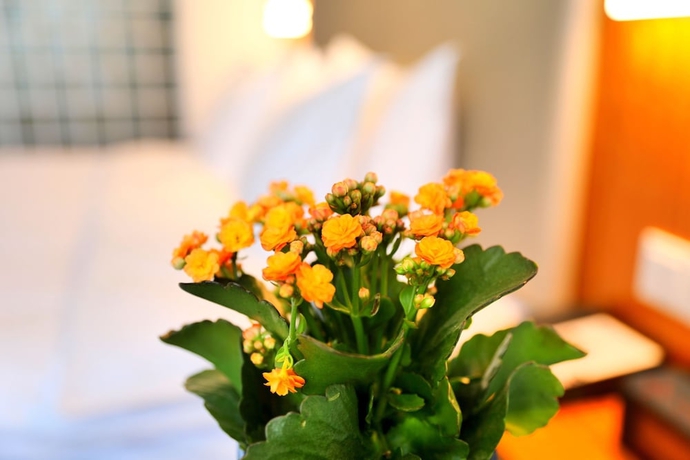 Imagen de la habitación del Hotel Holiday Inn Express Luoyang Xiyuan. Foto 8