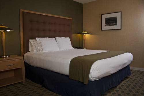 Imagen de la habitación del Hotel Holiday Inn Express Mill Valley San Francisco Area. Foto 5