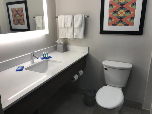 Imagen general del Hotel Holiday Inn Express Naples South I-75. Foto 3