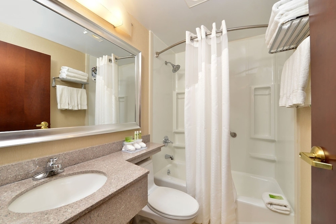 Imagen de la habitación del Hotel Holiday Inn Express New York JFK Airport Area. Foto 15