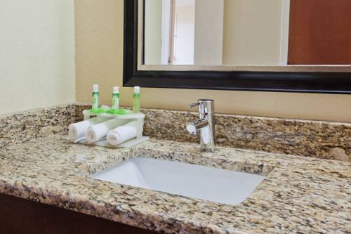 Imagen de la habitación del Hotel Holiday Inn Express N.myrtle Beach- Little River, An Ihg. Foto 3
