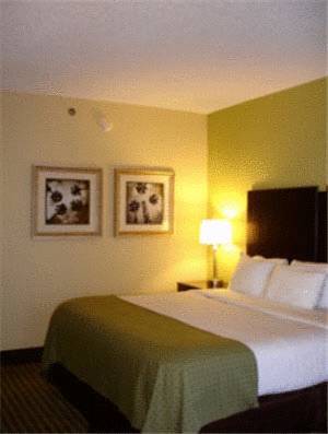 Imagen de la habitación del Hotel Holiday Inn Express N.myrtle Beach- Little River, An Ihg. Foto 9