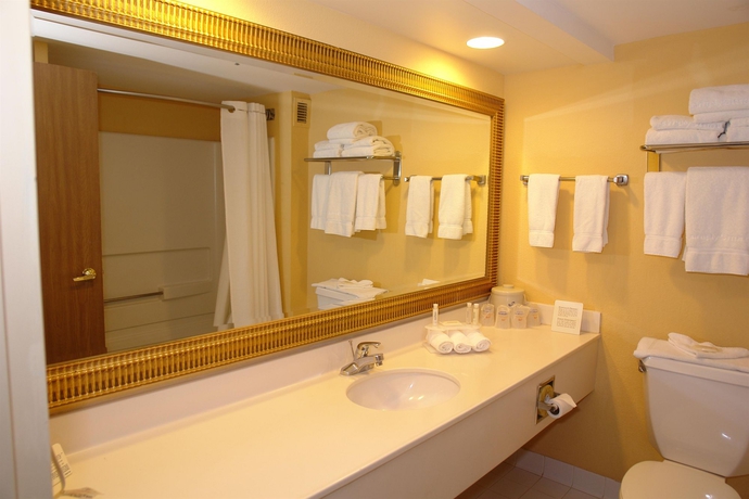 Imagen de la habitación del Hotel Holiday Inn Express Pigeon Forge/near Dollywood, An Ihg. Foto 6