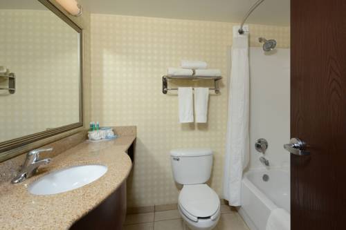 Imagen de la habitación del Hotel Holiday Inn Express Richmond I-64 Short Pump Area, An Ihg. Foto 15