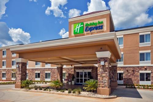 Imagen de la habitación del Hotel Holiday Inn Express Rocklin - Galleria Area. Foto 2