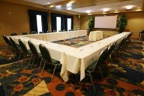 Imagen general del Hotel Holiday Inn Express Sacramento Airport Natomas. Foto 2