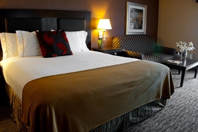 Imagen de la habitación del Hotel Holiday Inn Express San Clemente N &ndash; Beach Area, An Ihg. Foto 7