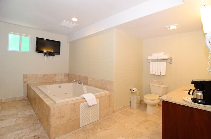 Imagen de la habitación del Hotel Holiday Inn Express San Diego Airport - Old Town, An Ihg. Foto 6