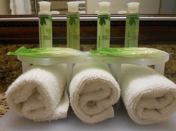 Imagen de la habitación del Hotel Holiday Inn Express San Diego N - Rancho Bernardo, An Ihg. Foto 5