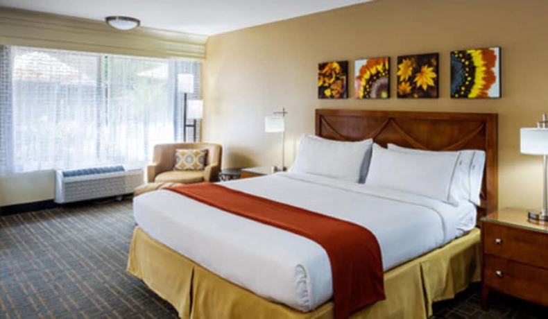 Imagen de la habitación del Hotel Holiday Inn Express Simi Valley, An Ihg. Foto 11