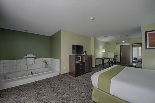 Imagen de la habitación del Hotel Holiday Inn Express Solana Beach-Del Mar, an IHG. Foto 5