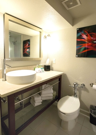 Imagen de la habitación del Hotel Holiday Inn Express St Louis - Central West End, An Ihg. Foto 6