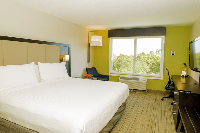 Imagen de la habitación del Hotel Holiday Inn Express St. Petersburg North (i-275), An Ihg. Foto 10