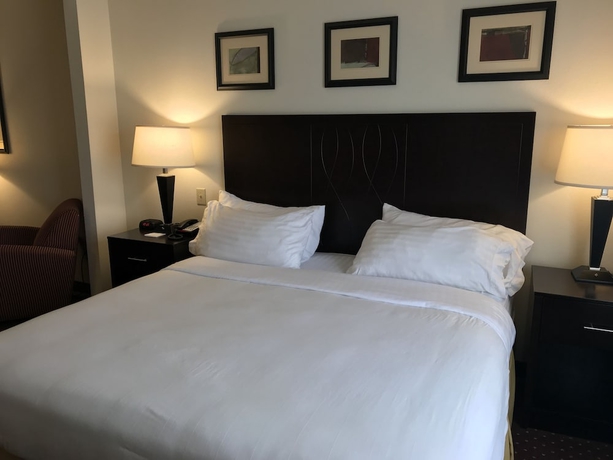 Imagen de la habitación del Hotel Holiday Inn Express Syracuse-Fairgrounds. Foto 4