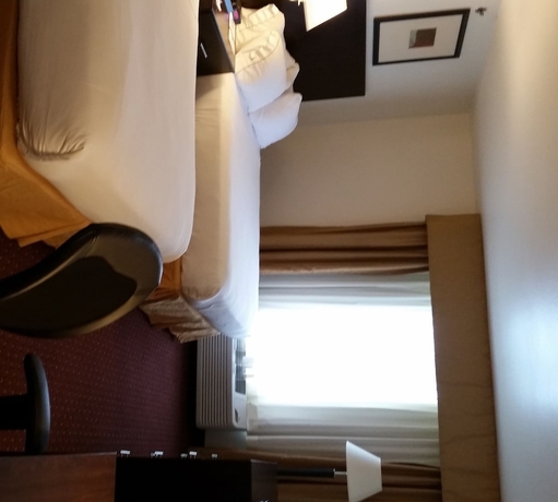 Imagen de la habitación del Hotel Holiday Inn Express Syracuse-Fairgrounds. Foto 7