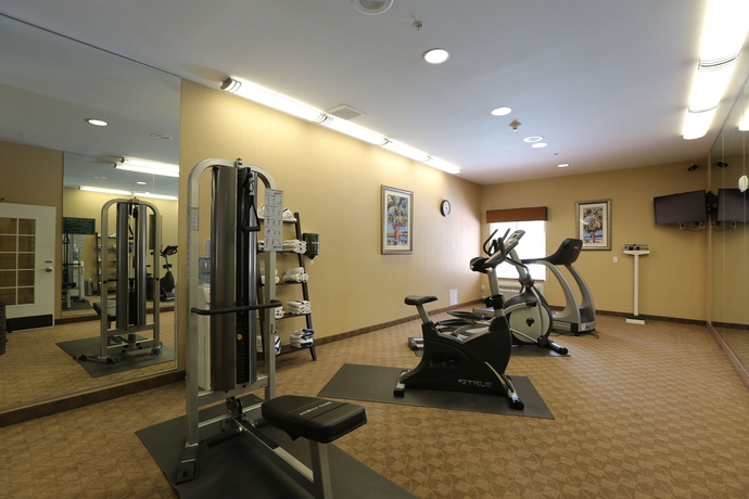 Imagen de los interiores del Hotel Holiday Inn Express Tampa N I-75 - University Area. Foto 10