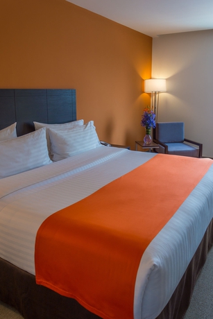 Imagen de la habitación del Hotel Holiday Inn Express Tegucigalpa. Foto 11