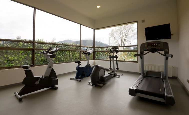 Imagen de los interiores del Hotel Holiday Inn Express Temuco. Foto 13