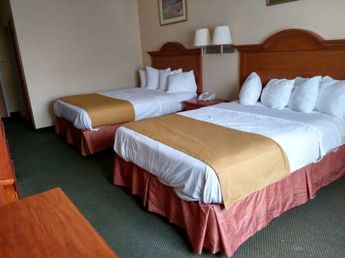 Imagen general del Hotel Holiday Inn Express Toledo West - Napoleon, An Ihg. Foto 1