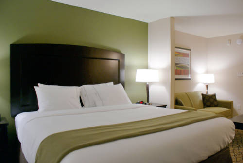 Imagen de la habitación del Hotel Holiday Inn Express Tulsa South Bixby. Foto 14
