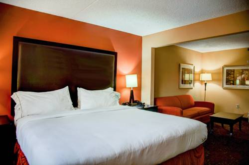 Imagen de la habitación del Hotel Holiday Inn Express Tyler South. Foto 3