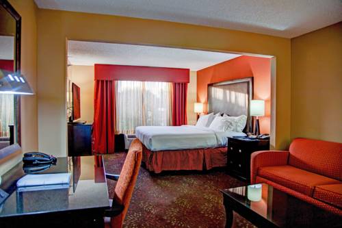 Imagen de la habitación del Hotel Holiday Inn Express Tyler South. Foto 5