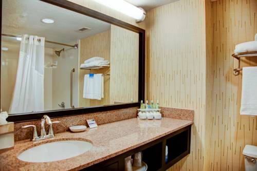 Imagen de la habitación del Hotel Holiday Inn Express Tyler South. Foto 12