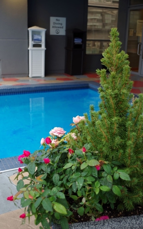 Imagen de la piscina del Hotel Holiday Inn Express Vancouver-metrotown (burnaby), An Ihg. Foto 19