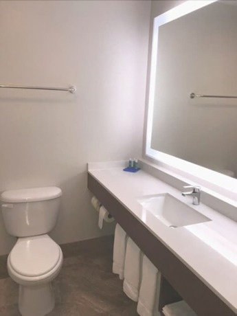 Imagen de la habitación del Hotel Holiday Inn Express Venice, An Ihg. Foto 13