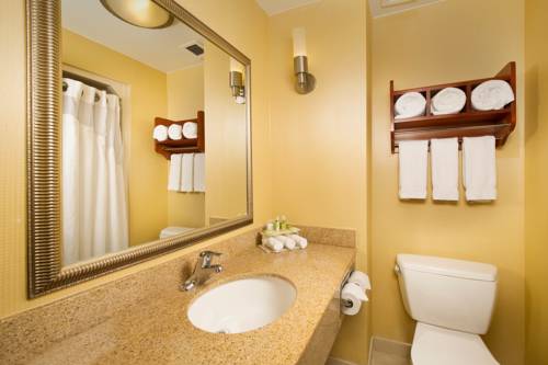 Imagen de la habitación del Hotel Holiday Inn Express Washington Dc - Bw Parkway, An Ihg. Foto 9