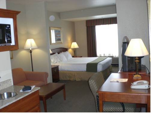 Imagen de la habitación del Hotel Holiday Inn Express- West Sacramento. Foto 10