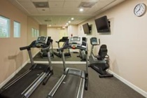 Imagen general del Hotel Holiday Inn Express Westpalm Metrocentre. Foto 7
