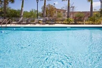 Imagen general del Hotel Holiday Inn Express Westpalm Metrocentre. Foto 8