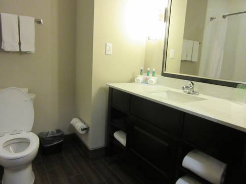 Imagen de la habitación del Hotel Holiday Inn Express Wichita South, An Ihg. Foto 3