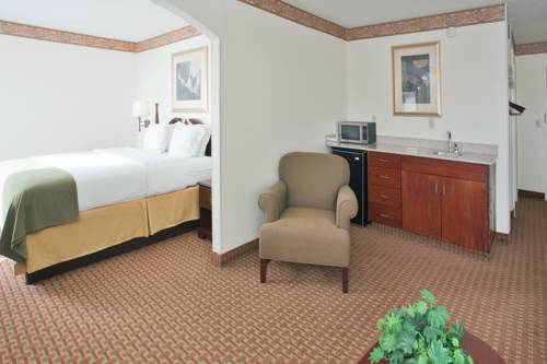 Imagen de la habitación del Hotel Holiday Inn Express Wilson I-95. Foto 11