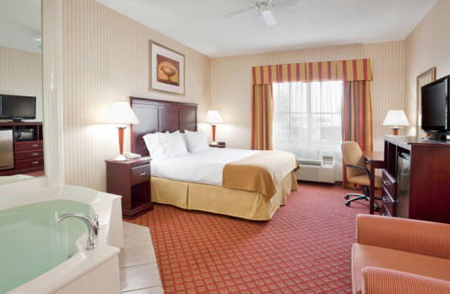 Imagen de la habitación del Hotel Holiday Inn Express Wixom by IHG. Foto 8