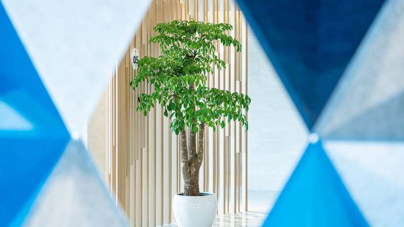 Imagen de los interiores del Hotel Holiday Inn Express Yangjiang City Center, An Ihg. Foto 18